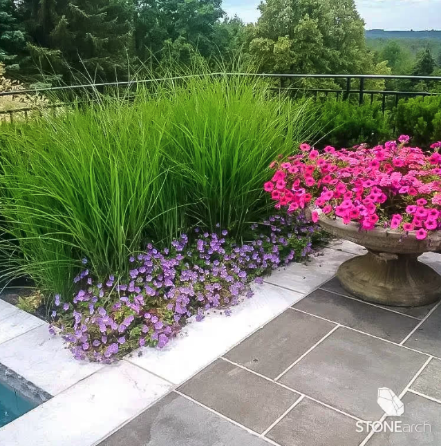 Coping - Carbon - Flamed - Rock Cut - 2"x12"x48"