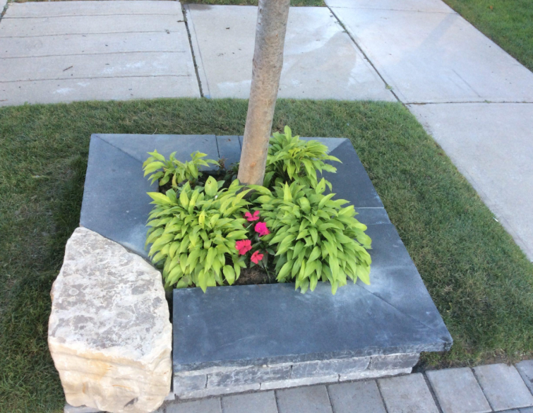 Step - Kota Black Limestone - 3 Edges Rockfaced, 1 Longside Sawn - 6"x12"x60"