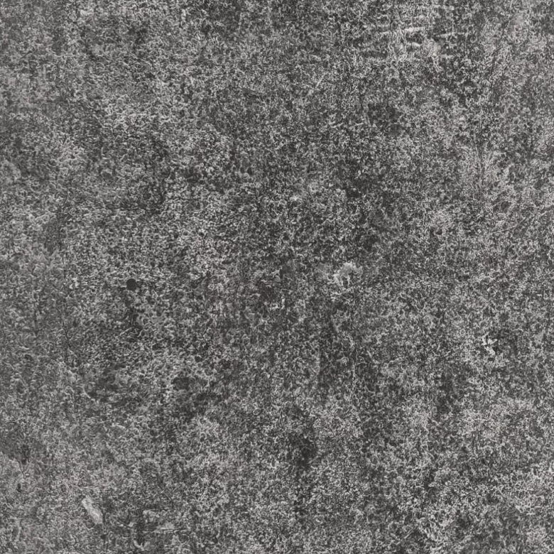 Bullnose Coping - Silver Valley Limestone - Flamed - 2"x12"x72" swatch