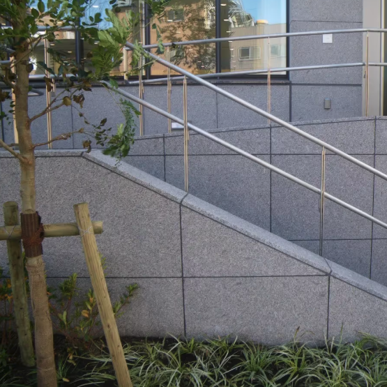 Coping - WhiteStar Granite - Flamed - Rock Cut - 2"x12"x48"