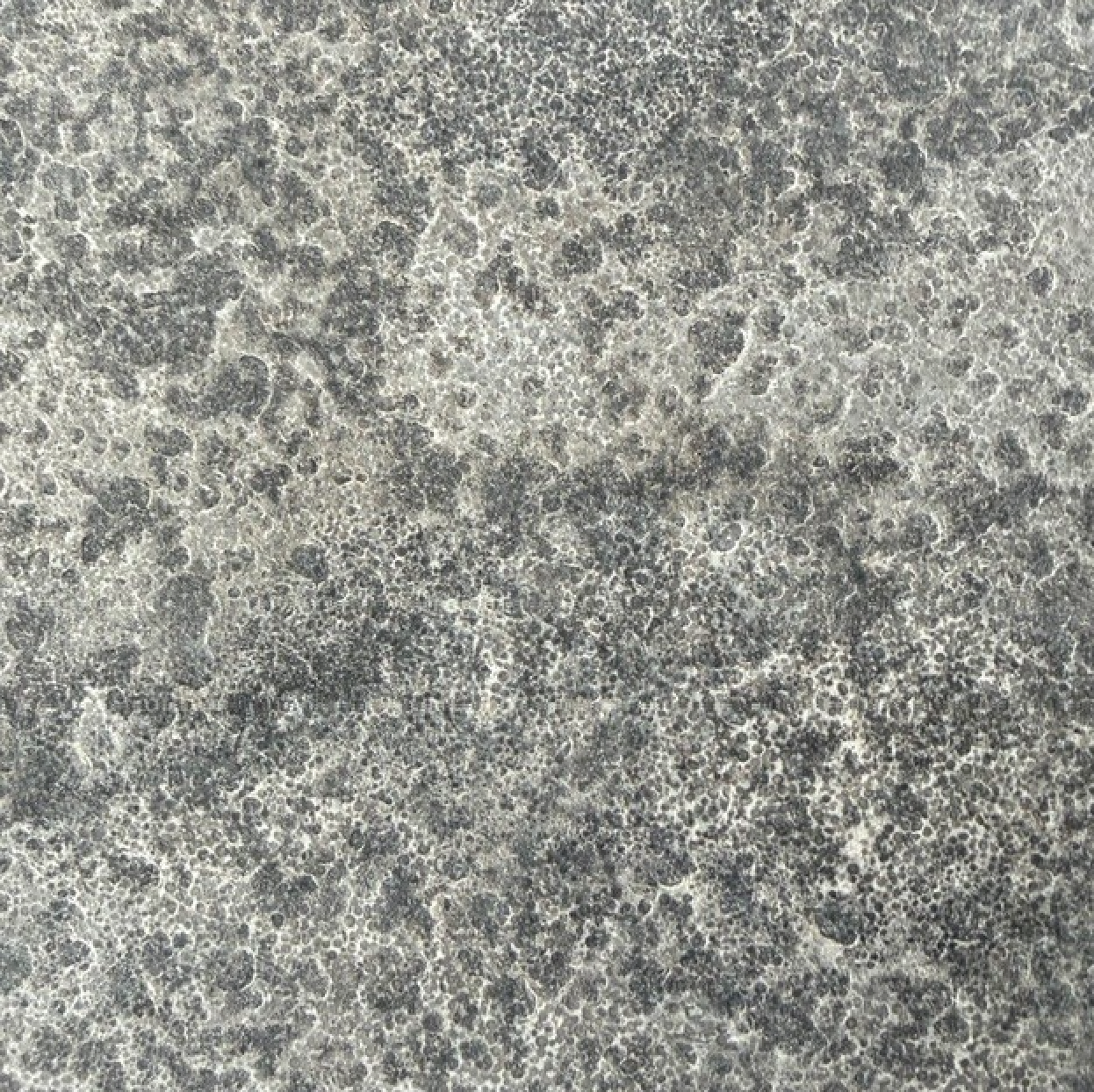 Silver Valley Limestone (WWS)