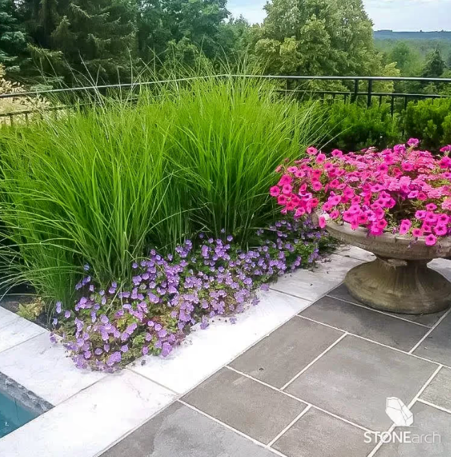 Paver - Carbon Basalt - Flamed - Saw Cut - 1-1/4"x24"x36"