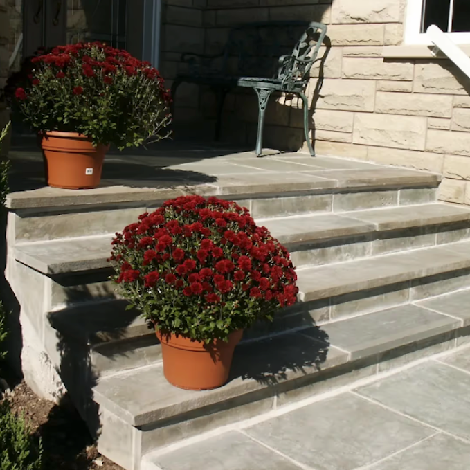 Paver - Dove Sandstone - Natural - Saw Cut - 1" - Combo-L